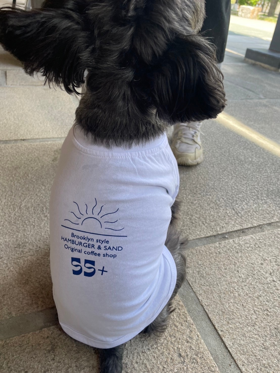 犬用ウェア　Tシャツ　（小型犬～中型犬用）